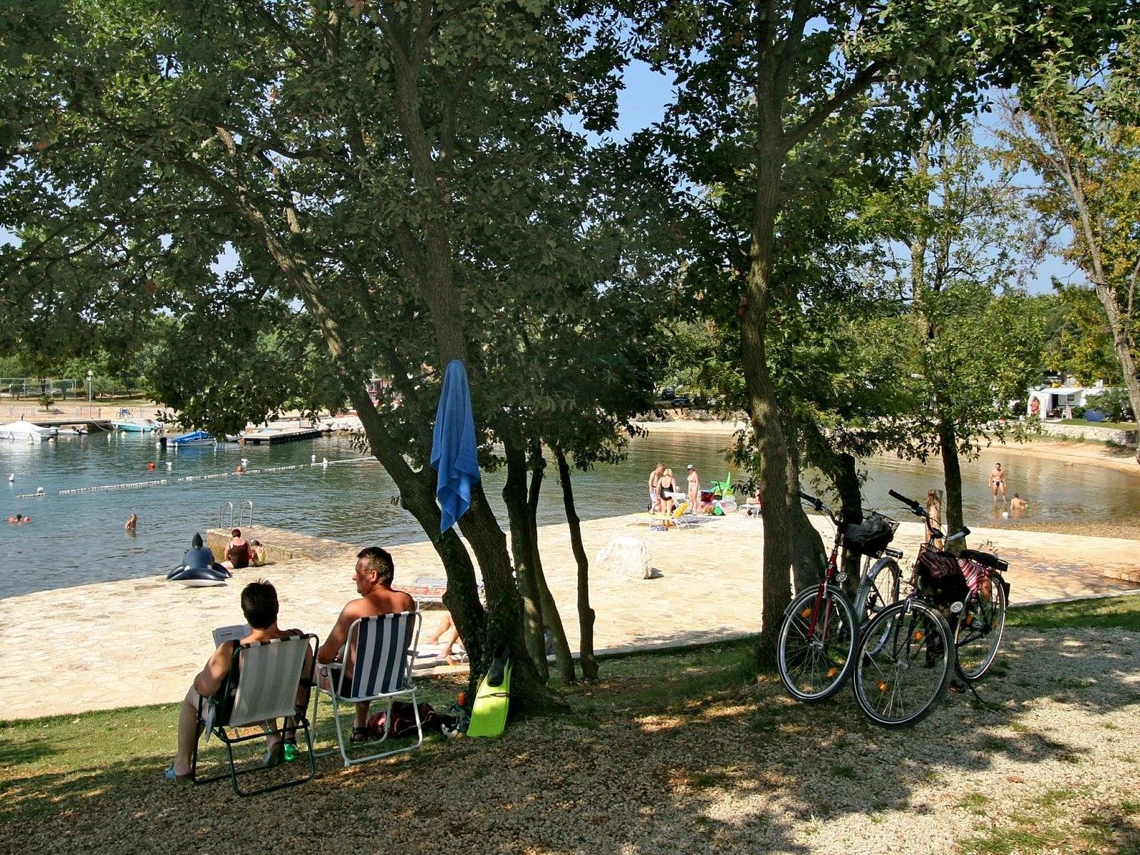 ...