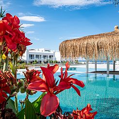 Appartement in Girne