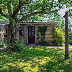 9600 - Daalder - Troost