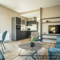 Chalet type Texel de Luxe