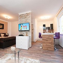 Traditional Apartments Vienna TAV - Design