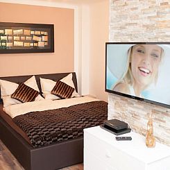 Traditional Apartments Vienna TAV - Design