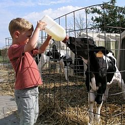 vakantiehoeve briesland