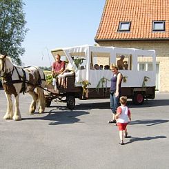 vakantiehoeve briesland
