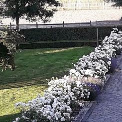 Vakantiehuis in Veurne