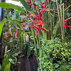 The Twenty Lodge- SHA Extra Plus