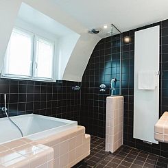 The Dutch Maastricht