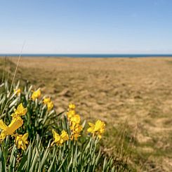 Vakantiehuis "Hedy" - 150m from the sea