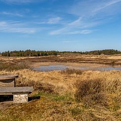 Vakantiehuis "Elisa" - 1.2km from the sea