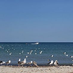 Vakantiehuis "Yakari" - 1km from the sea