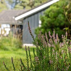 Vakantiehuis "Grimi" - 4km from the sea