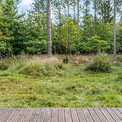 Vakantiehuis "Reinfried" - 250m from the sea