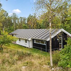 Vakantiehuis "Reinfried" - 250m from the sea