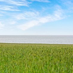 Vakantiehuis "Paale" - 200m to the fjord