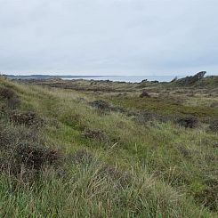 Vakantiehuis "Amadahy" - 950m from the sea