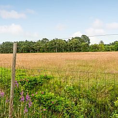 Vakantiehuis "Thine" - 800m from the sea