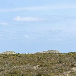 Vakantiehuis "Bille" - 200m from the sea