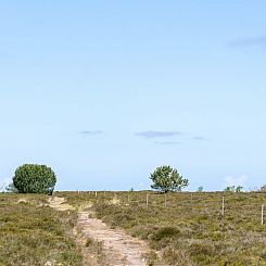 Vakantiehuis "Bille" - 200m from the sea