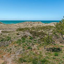 Vakantiehuis "Petersen" - 50m from the sea