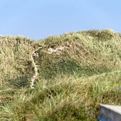Vakantiehuis "Marjon" - 400m from the sea