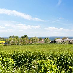 Vakantiehuis "Alma" - 400m from the sea