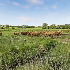 Vakantiehuis "Sigbritt" - 100m from the sea