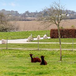Vakantiehuis "Aloisia" - 300m from the sea