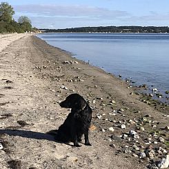 Vakantiehuis "Lander" - 20m from the sea
