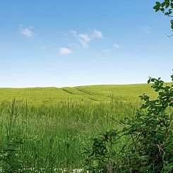 Vakantiehuis "Thorwer" - 250m from the sea