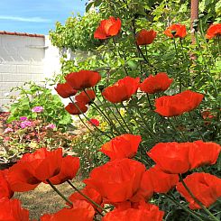 Vakantiehuis "Merete" - 50m from the sea