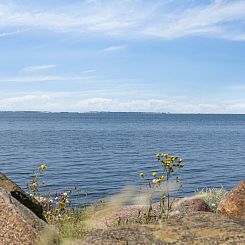 Vakantiehuis "Asmund" - 150m from the sea