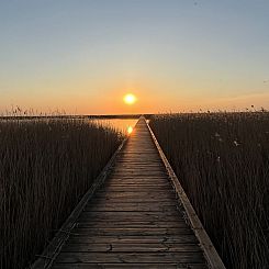 Vakantiehuis "Hjalmine" - 1.4km from the sea