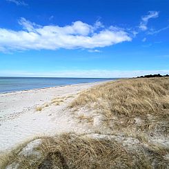 Vakantiehuis "Miljanka" - 175m from the sea