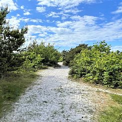 Vakantiehuis "Efka" - 175m from the sea