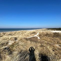 Vakantiehuis "Felis" - 575m from the sea