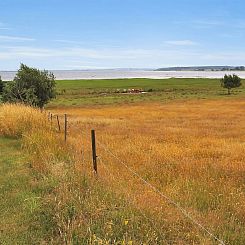 Vakantiehuis "Jeip" - 400m to the fjord