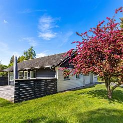 Vakantiehuis "Prohor" - 150m from the sea