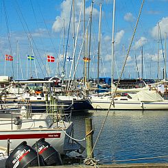 Vakantiehuis "Cedomir" - 625m from the sea