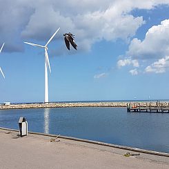 Vakantiehuis "Golubinka" - 500m from the sea