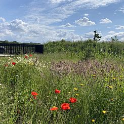 Vakantiehuis "Anelle" - 500m from the sea