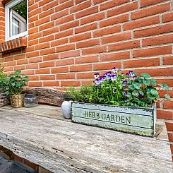Vakantiehuis "Thiokk" - 500m from the sea