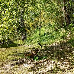 Appartement "Annlis" - 5m from the sea