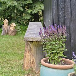 Vakantiehuis "Marjanne" - 800m from the sea