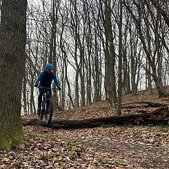 Vakantiehuis "Eva" - 1.5km to the fjord