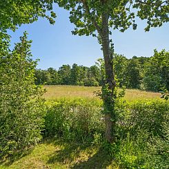 Vakantiehuis "Steffenie" - 250m from the sea