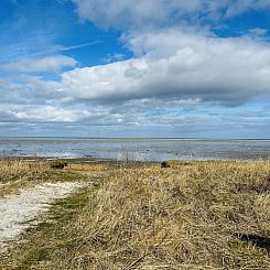 Vakantiehuis "Aiden" - 300m from the sea