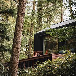 Koya Tiny Cabin