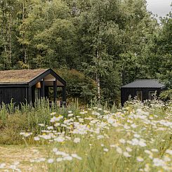 The Hills met Hottub & Sauna