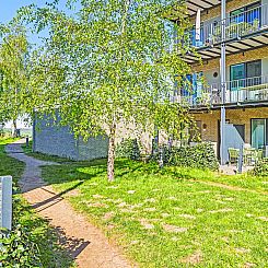 Appartement Dümmer Koje