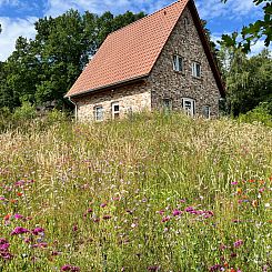 Vakantiehuis Haus Felsenbirne im Bispinger Heidezauber